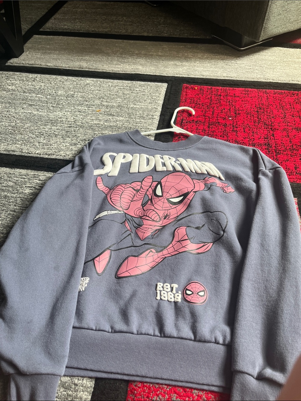 Marvel Spider-Man Graphic Sweatshirt in Gray and Pink